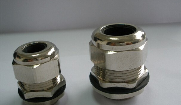 �������m�^